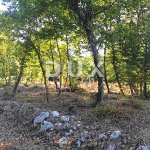 ISTRA, MOTOVUN - Prostrano zemljište s građevinskom dozvolom