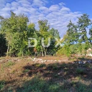 ISTRA, MOTOVUN - Prostrano zemljište s građevinskom dozvolom
