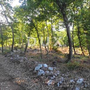 ISTRA, MOTOVUN - Prostrano zemljište s građevinskom dozvolom