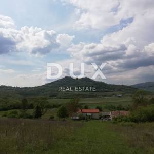 ISTRA, MOTOVUN- prostrano zemljište 53940 m2