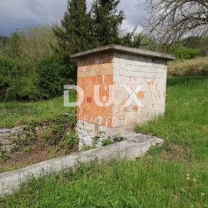 ISTRA, MOTOVUN- prostrano zemljište 53940 m2