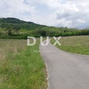ISTRA, MOTOVUN- prostrano zemljište 53940 m2