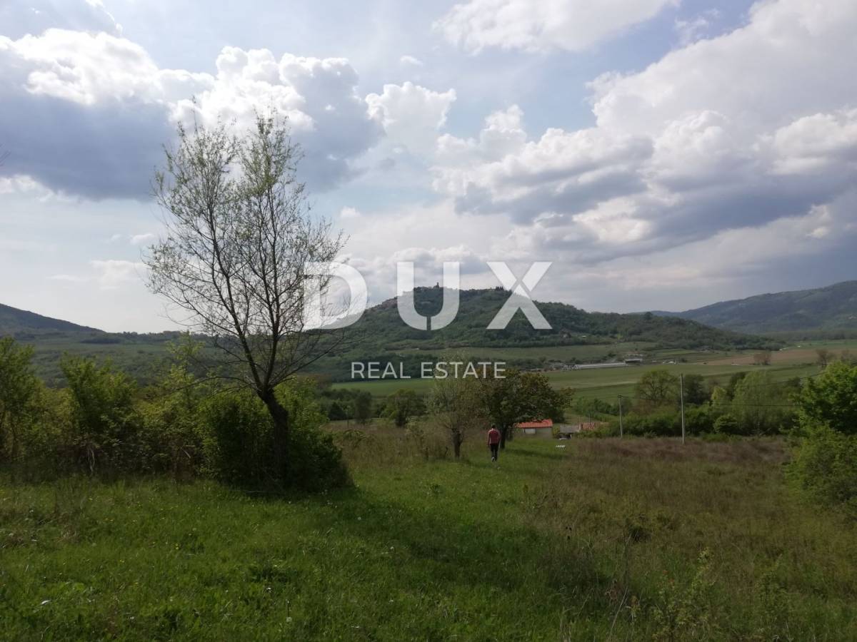 ISTRA, MOTOVUN- prostrano zemljište 53940 m2
