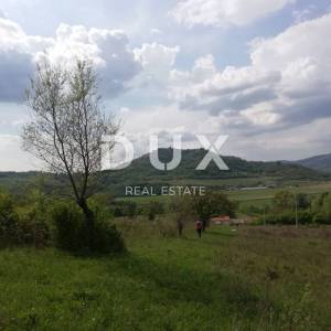 ISTRA, MOTOVUN- prostrano zemljište 53940 m2
