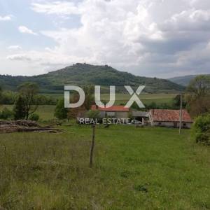 ISTRA, MOTOVUN- prostrano zemljište 53940 m2