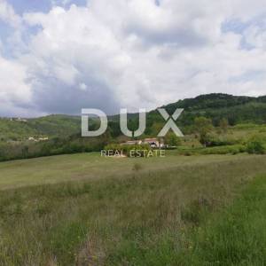 ISTRA, MOTOVUN- prostrano zemljište 53940 m2
