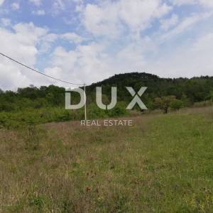 ISTRA, MOTOVUN- prostrano zemljište 53940 m2
