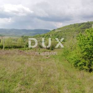 ISTRA, MOTOVUN- prostrano zemljište 53940 m2