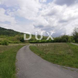 ISTRA, MOTOVUN- prostrano zemljište 53940 m2