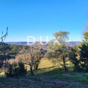ISTRA, MOTOVUN - Samostojeća kamena starina s pogledom na Motovun i glavnim projektom za obnovu