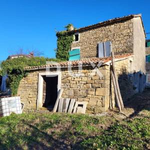 ISTRA, MOTOVUN - Samostojeća kamena starina s pogledom na Motovun i glavnim projektom za obnovu