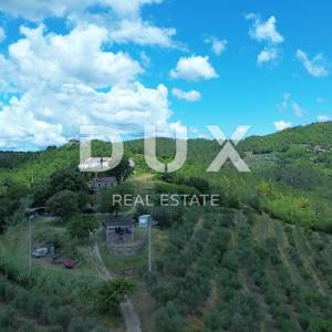 ISTRA, MOTOVUN - Veliko imanje od 170.000 m2, najljepši pogled u Istri - jezero Butoniga, Učka, Ćićarija, Motovun i Motovunska tartufarska šuma!