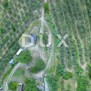 ISTRA, MOTOVUN - Veliko imanje od 170.000 m2, najljepši pogled u Istri - jezero Butoniga, Učka, Ćićarija, Motovun i Motovunska tartufarska šuma!