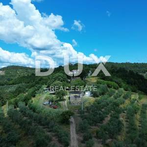 ISTRA, MOTOVUN - Veliko imanje od 170.000 m2, najljepši pogled u Istri - jezero Butoniga, Učka, Ćićarija, Motovun i Motovunska tartufarska šuma!