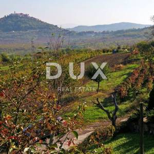 ISTRA, MOTOVUN - Zemljište s impresivnim pogledom