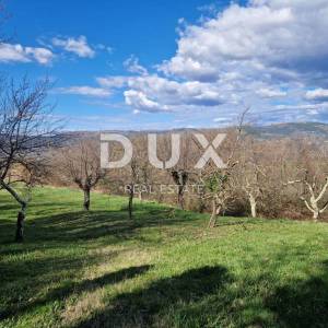 ISTRA, MOTOVUN - Zemljište s impresivnim pogledom