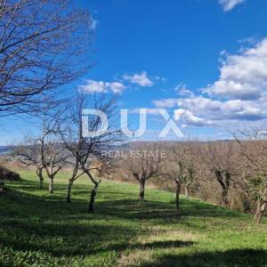 ISTRA, MOTOVUN - Zemljište s impresivnim pogledom