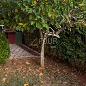Istra, Novigrad, 1s+db, 44m2, terasa i okućnica