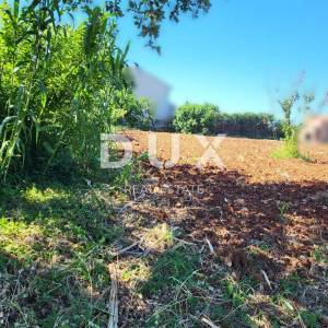 ISTRA, NOVIGRAD - Građevinsko i poljoprivredno zemljište