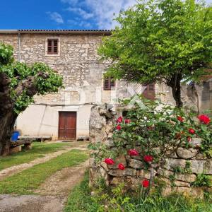 ISTRA, NOVIGRAD - Kamena ljepotica u mirnom naselju