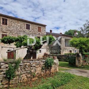 ISTRA, NOVIGRAD - Kamena ljepotica u mirnom naselju