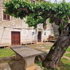 ISTRA, NOVIGRAD - Kamena ljepotica u mirnom naselju