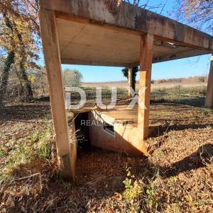 ISTRA, NOVIGRAD - Predivan maslinik s ucrtanim objektom
