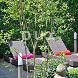 ISTRA, NOVIGRAD - Spoj stila i komfora nadomak plaže