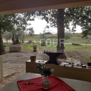 Istra, Novigrad, stan 47.80m2, 2s+db + podrum i okućnica