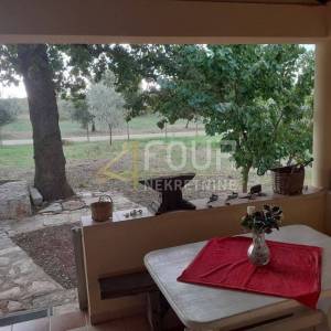 Istra, Novigrad, stan 47.80m2, 2s+db + podrum i okućnica