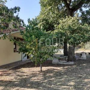 Istra, Novigrad, stan 47.80m2, 2s+db + podrum i okućnica