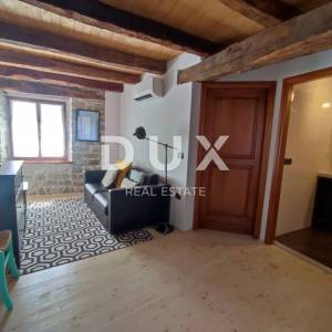 ISTRA, OPRTALJ - Autohtona kamena ljepotica s 3 apartmana