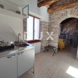 ISTRA, OPRTALJ - Autohtona kamena ljepotica s 3 apartmana