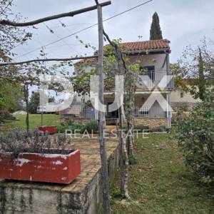 ISTRA, OPRTALJ - Imanje od dvije kuće s pripadajućom okućnicom na ugodnoj lokaciji, prilika!