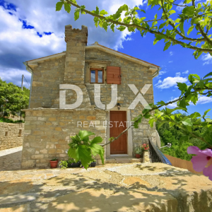 ISTRA, OPRTALJ - Istarska autohtona kuća s panoramskim pogledom