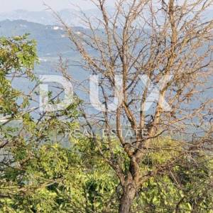 ISTRA, OPRTALJ - Jedinstveni kompleks s otvorenim pogledom