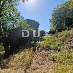 ISTRA, OPRTALJ - Kamena starina s panoramskim pogledom na zelenilo