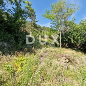 ISTRA, OPRTALJ - Kamena starina s panoramskim pogledom na zelenilo