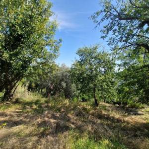 ISTRA, OPRTALJ - Kamena starina s panoramskim pogledom na zelenilo