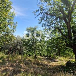 ISTRA, OPRTALJ - Kamena starina s panoramskim pogledom na zelenilo