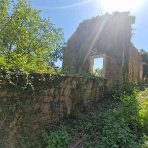 ISTRA, OPRTALJ - Kamena starina s panoramskim pogledom na zelenilo