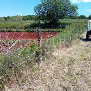 Istra, Oprtalj - okolica, građevinsko zemljište, 453m2