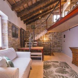 Istra, Oprtalj, šarmantna kamena vila, 3 apartmana