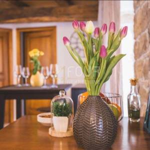 Istra, Oprtalj, šarmantna kamena vila, 3 apartmana