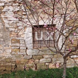 ISTRA, OPRTALJ - Simpatična istarska kamena kuća 