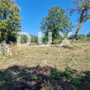 ISTRA, OPRTALJ - Veliko građevinsko zemljište s kamenom ruševinom i pogledom