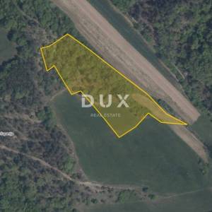 ISTRA, PAZIN, CEROVLJE – Zemljište 8.919 m², oranica, livada i pašnjak