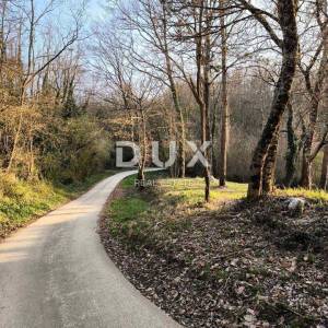ISTRA, PAZIN - Građevinsko zemljište u mirnom naselju