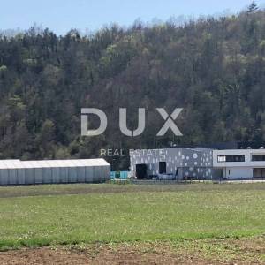 ISTRA PAZIN GRAĐEVINSKO Zemljište za investitore!