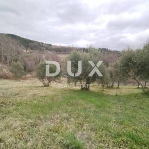 ISTRA, PAZIN, GRIMALDA - Prelijep maslinik s pogledom na jezero